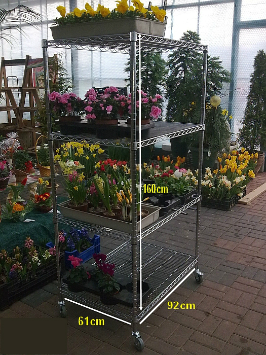 Projekt Ultra Power — Kwiaciarnie — zdjęcie 28